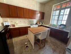Saint Thomas Walk (D9), Condominium #480819481
